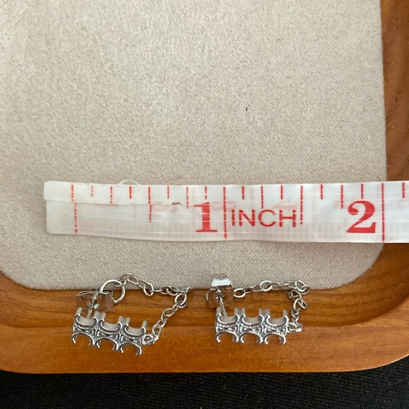Celine Elegant Silver Earrings - Picture 1 of 5